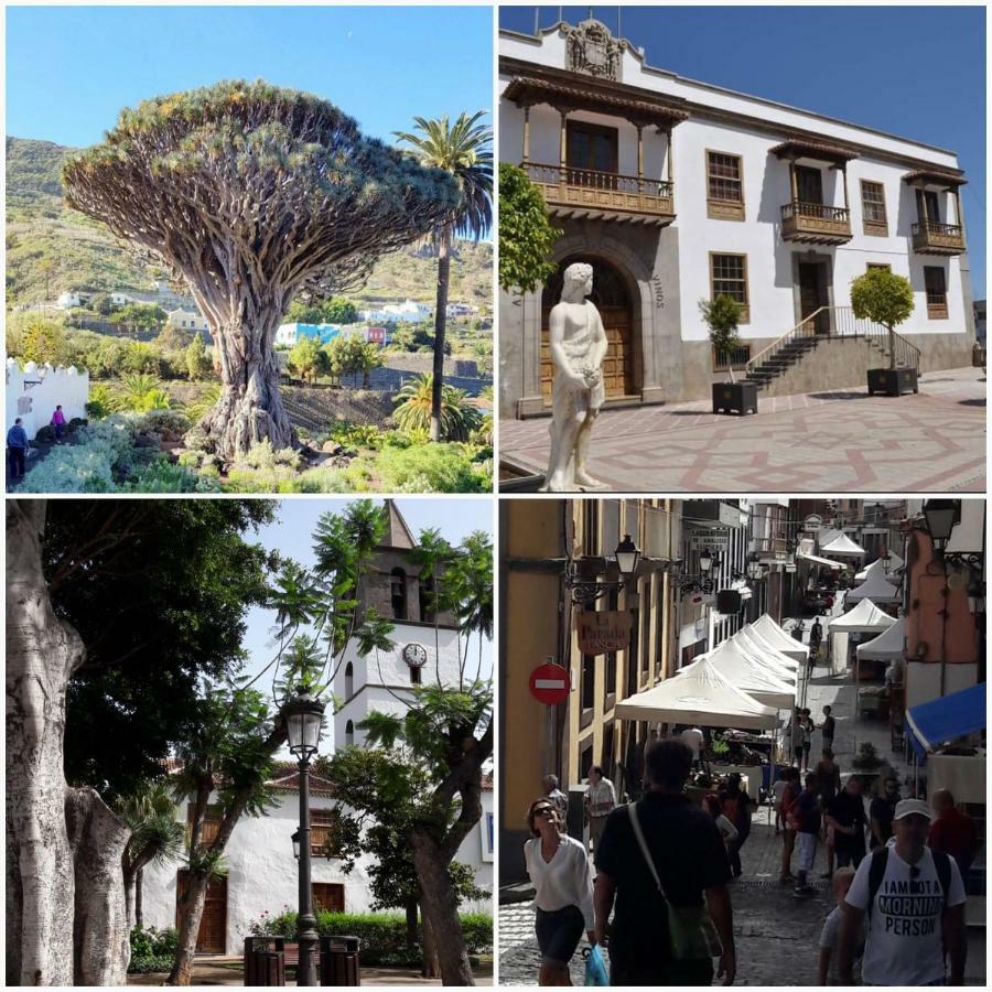 이코드레로스비노스 Plaza San Marcos Casco Historico 아파트 외부 사진